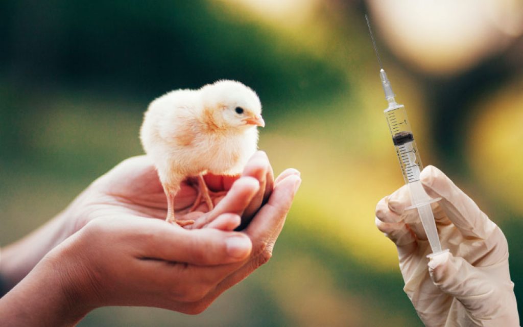 Biosecurity